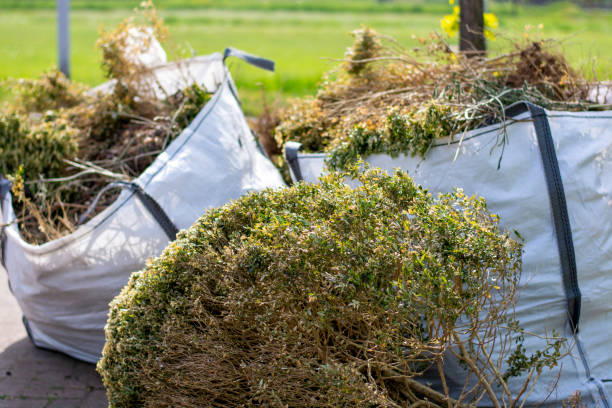 Best Local Junk Hauling  in Oakdale, PA